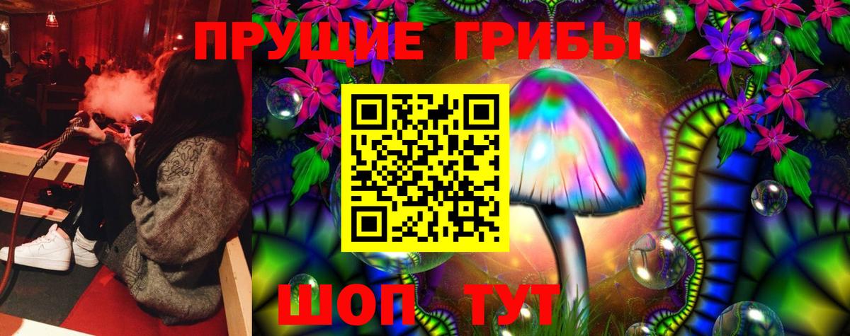 Галлюциногенные грибы Cubensis Черкесск