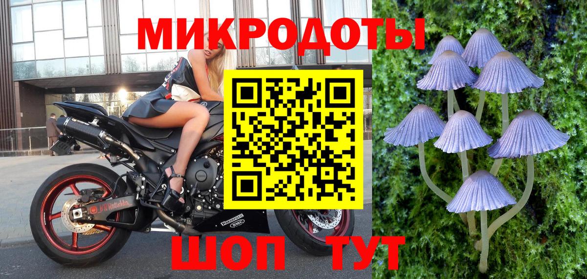 Псилоцибиновые грибы прущие грибы  где можно купить   Галлюциногенные грибы прущие грибы  Черкесск  Вход с VPN 